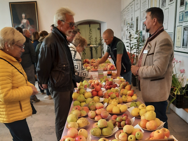 Bild: Obstsortentag in der Orangiere