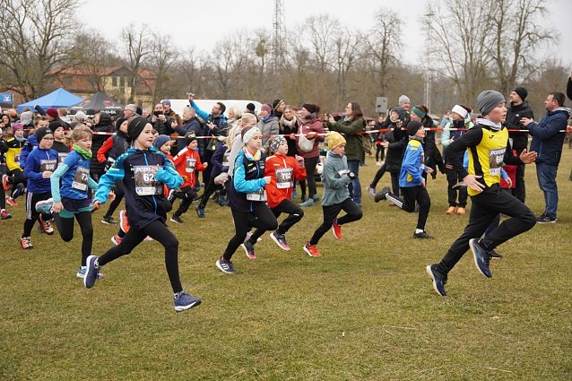 Bild: 