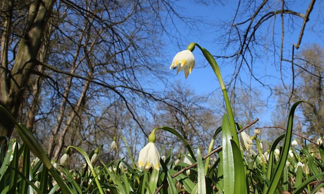 Bild: 
