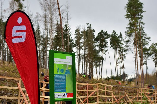 Bild: 