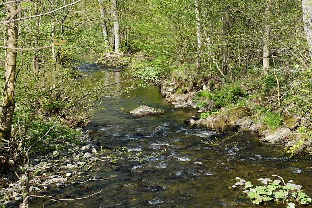 Bild: 