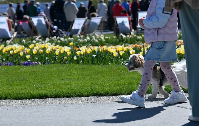 Bild: 