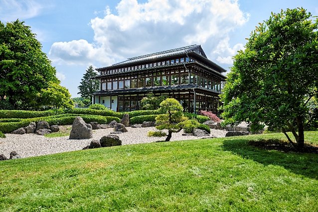 Bild: Japanischer Garten mit B&auml;umen und Steinen