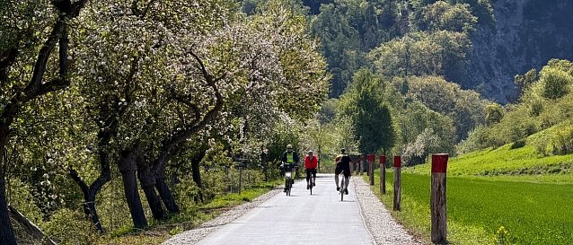 Bild: 