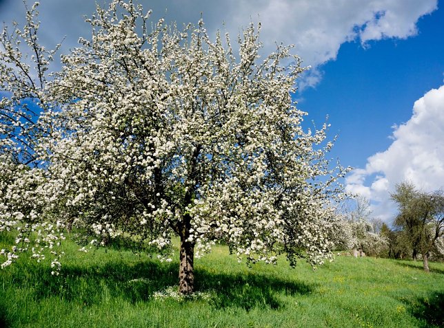 Bild: Fr&uuml;hlingshafte Ein- und Ausblicke