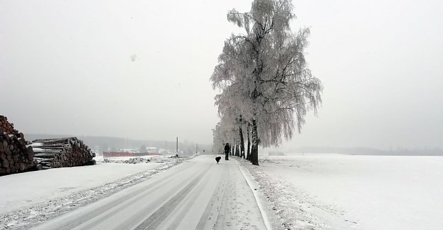 Bild: Am Nachmittag bei Sophienhof, dem n&ouml;rdlichsten Ort in Th&uuml;ringen: Starker Nord/Ost-Wind. Zunehmender Schneefall.