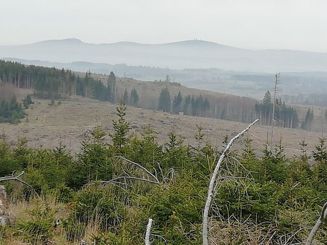 Bild: Der Brocken und Wurmberg im Hintergrund, Fr&uuml;hnebel bei 10 Grad