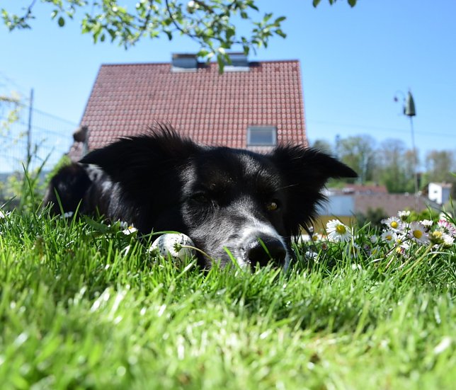 Bild: 
