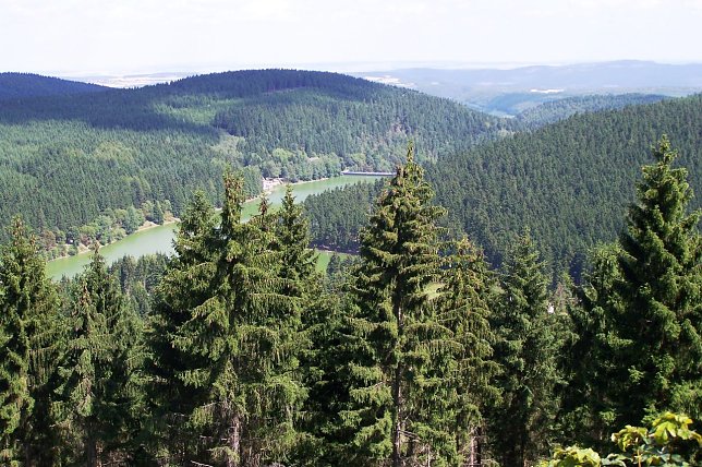 Bild: 