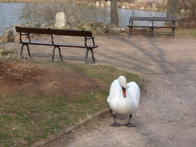 B&auml;nke im Schlosspark (Foto: Karl-Heinz Herrmann)