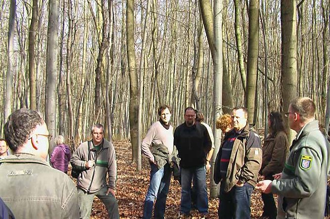 Waldgang am Possen (Foto: Karl-Heinz Herrmann)