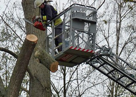 Feuerwehr im Borntal (Foto: Karl-Heinz Herrmann) Feuerwehr im Borntal (Foto: Karl-Heinz Herrmann)