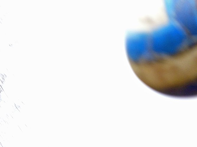 Fußballturnier im Borntal (Foto: Karl-Heinz Herrmann) Fußballturnier im Borntal (Foto: Karl-Heinz Herrmann)