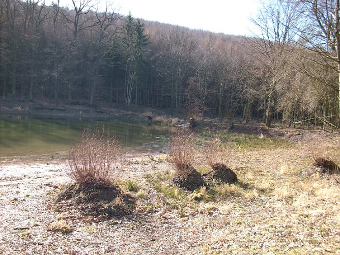 Pfaffenteich 2 (Foto: Karl-Heinz Herrmann) Pfaffenteich 2 (Foto: Karl-Heinz Herrmann)