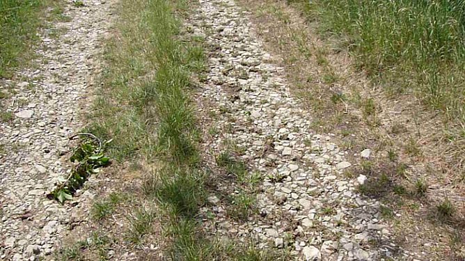 Radweg nach Oberspier (Foto: Karl-Heinz Herrmann)