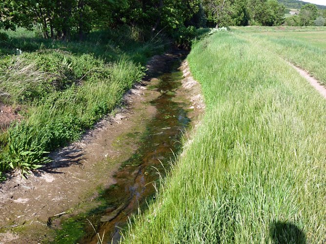 Nur noch Rinnsal (Foto: Karl-Heinz Herrmann) Nur noch Rinnsal (Foto: Karl-Heinz Herrmann)