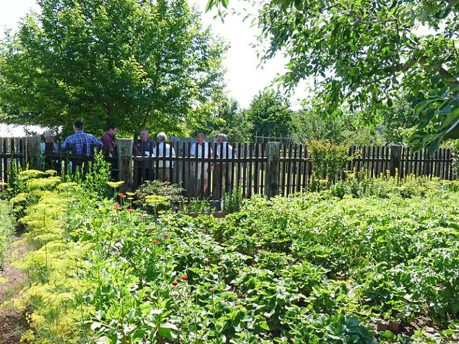 Bei Wettbewerb dabei (Foto: Karl-Heinz Herrmann) Bei Wettbewerb dabei (Foto: Karl-Heinz Herrmann)