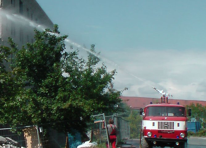 Ob er w&auml;chst? (Foto: Karl-Heinz Herrmann)