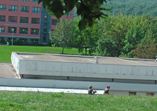 Ob er w&auml;chst? (Foto: Karl-Heinz Herrmann)