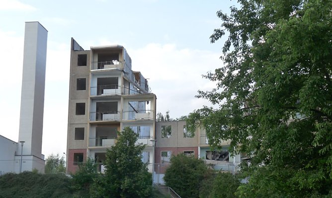 Ob er w&auml;chst? (Foto: Karl-Heinz Herrmann)