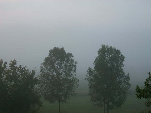 Nebel nach Gewitter (Foto: Karl-Heinz Herrmann)