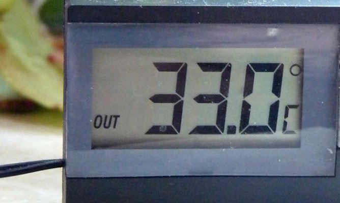 Da tropft die Stirn (Foto: Karl-Heinz Herrmann) Da tropft die Stirn (Foto: Karl-Heinz Herrmann)