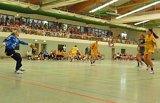 Werbung f&uuml;r den Handball (Foto: Karl-Heinz Herrmann)