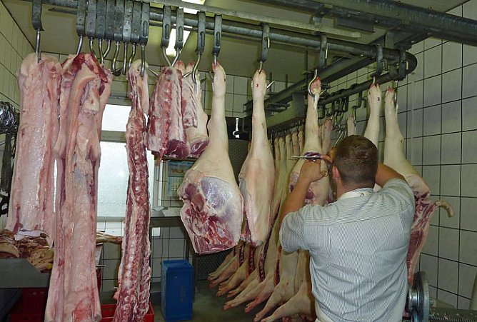 H&ouml;rchner Seega (Foto: Maxxomedia.PR)