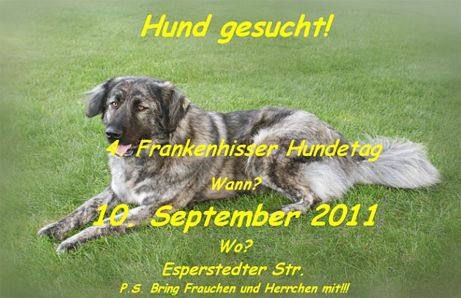 Hund-gesucht (Foto: Stadt Bad Frankenhausen)