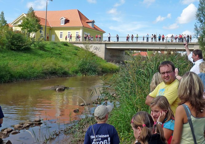 Gl&uuml;ck gehabt? (Foto: Karl-Heinz Herrmann)