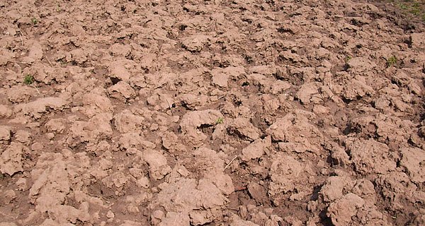 Umgegrabenes Gartenland (Foto: Siegmar Henkel) Umgegrabenes Gartenland (Foto: Siegmar Henkel)