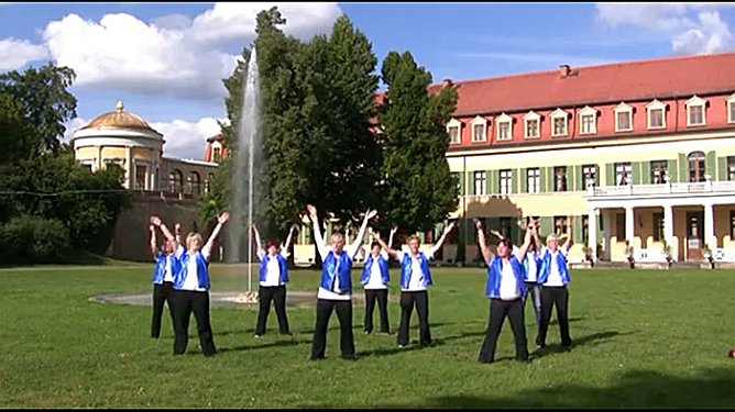 Faschingsfrauen tanzen f&uuml;r DKMS (Foto: Kenneth Bol)