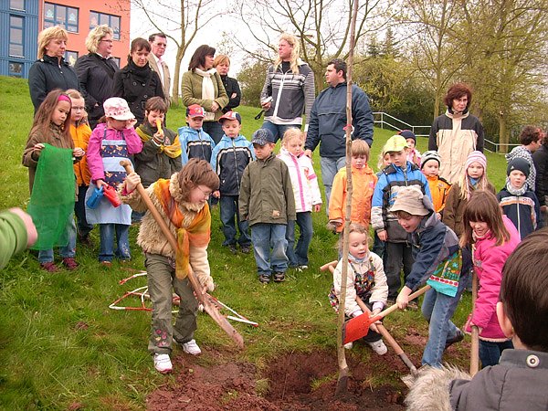 Baumpflanzung (Foto: Karl-Heinz Herrmann) Baumpflanzung (Foto: Karl-Heinz Herrmann)
