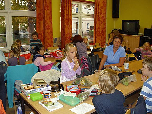 Neuer Wald (Foto: Haus der Jugend Sondershausen)
