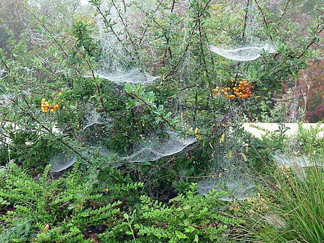 Natur genie&szlig;en (Foto: Karl-Heinz Herrmann)