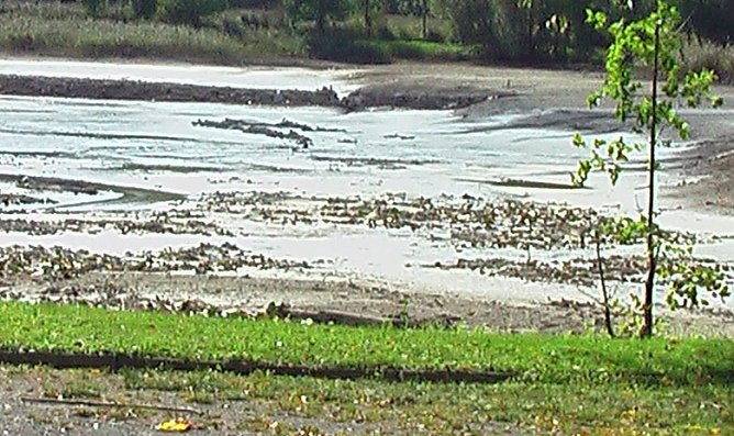 Bebraer Teich (Foto: Karl-Heinz Herrmann) Bebraer Teich (Foto: Karl-Heinz Herrmann)