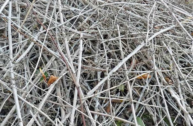 Unvernunft geht los (Foto: Karl-Heinz Herrmann)