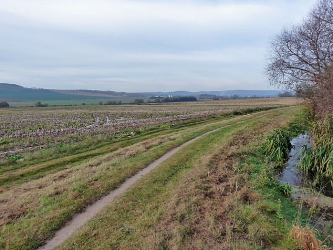 Hochwasser ohne Regen? (Foto: Karl-Heinz Herrmann)