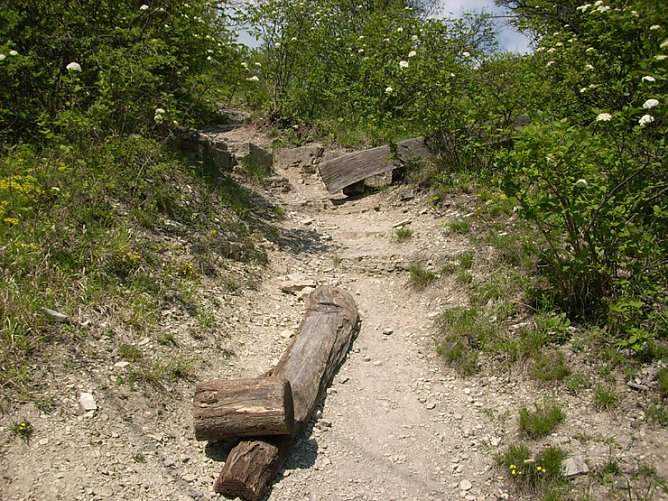 Zerstörte Sitzbank (Foto: Karl-Heinz Herrmann) Zerstörte Sitzbank (Foto: Karl-Heinz Herrmann)