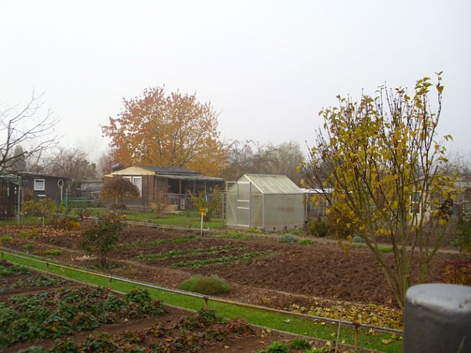 Herbstarbeiten in Gl&uuml;ckauf (Foto: Thomas Leipold)