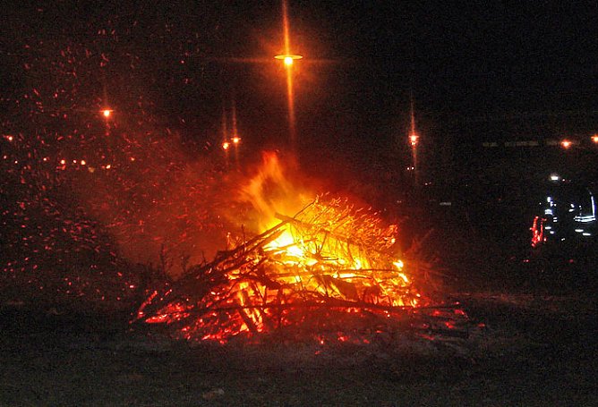 Weihnachtsb&auml;ume werden noch ben&ouml;tigt! (Foto: Stadt Bad Frankenhausen)