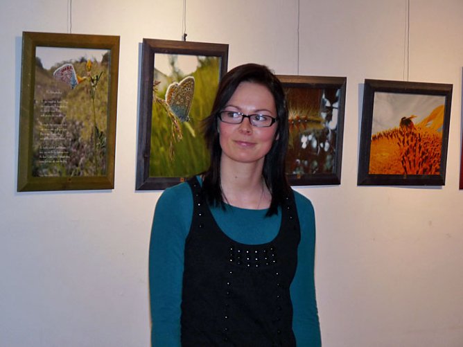 Farbenprächtige Schmetterlinge (Foto: Karl-Heinz Herrmann) Farbenprächtige Schmetterlinge (Foto: Karl-Heinz Herrmann)