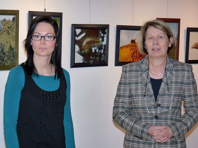 Farbenprächtige Schmetterlinge (Foto: Karl-Heinz Herrmann) Farbenprächtige Schmetterlinge (Foto: Karl-Heinz Herrmann)