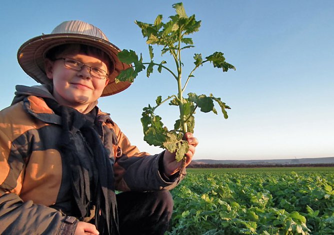Es bleibt sehr warm? (Foto: Jürgen König) Es bleibt sehr warm? (Foto: Jürgen König)
