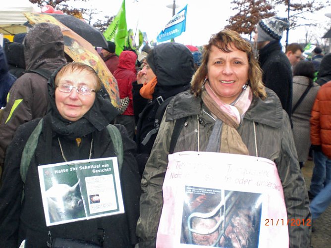 Gro&szlig;demo Berlin (Foto: Horst Schmidt)