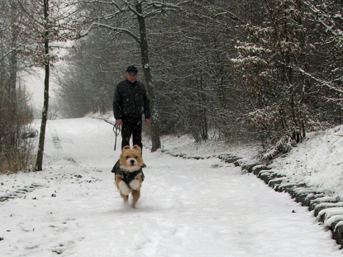 Winterzauber (Foto: Sebastian Hey)