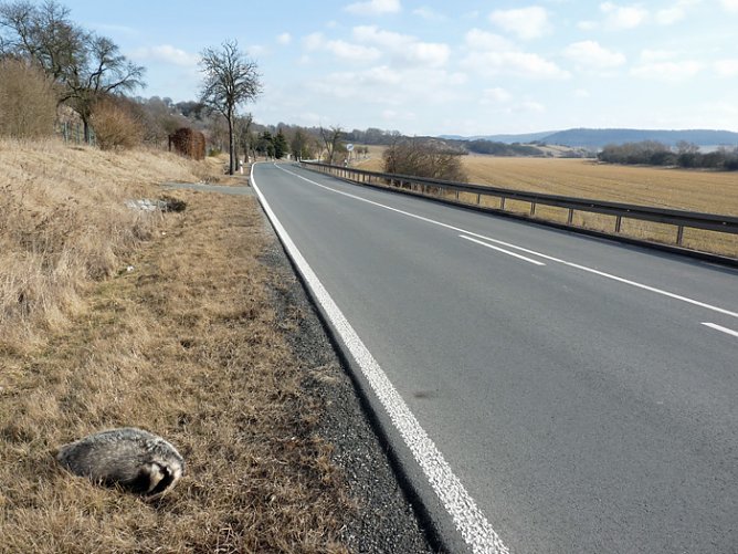 Der Schein tr&uuml;gt (Foto: Karl-Heinz Herrmann)