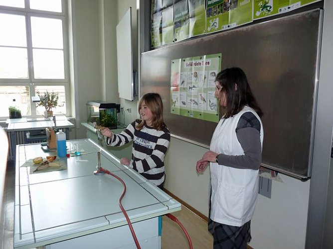 Wir stellen uns vor (2) (Foto: Karl-Heinz Herrmann) Wir stellen uns vor (2) (Foto: Karl-Heinz Herrmann)