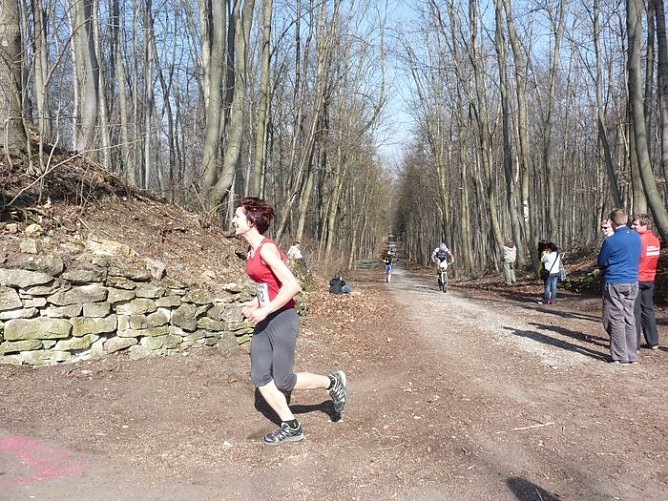 Rekordbeteiligung beim Possenlauf (1) (Foto: Rekordbeteiligung beim Possenlauf (1))