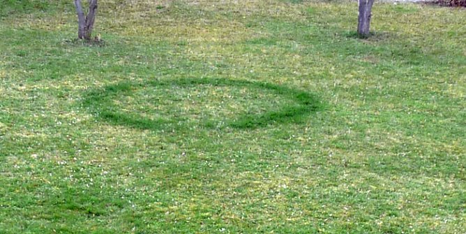 Sehr seltsam (2) (Foto: Karl-Heinz Herrmann) Sehr seltsam (2) (Foto: Karl-Heinz Herrmann)